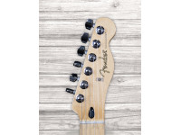 Fender Player Series Tele MN PWT